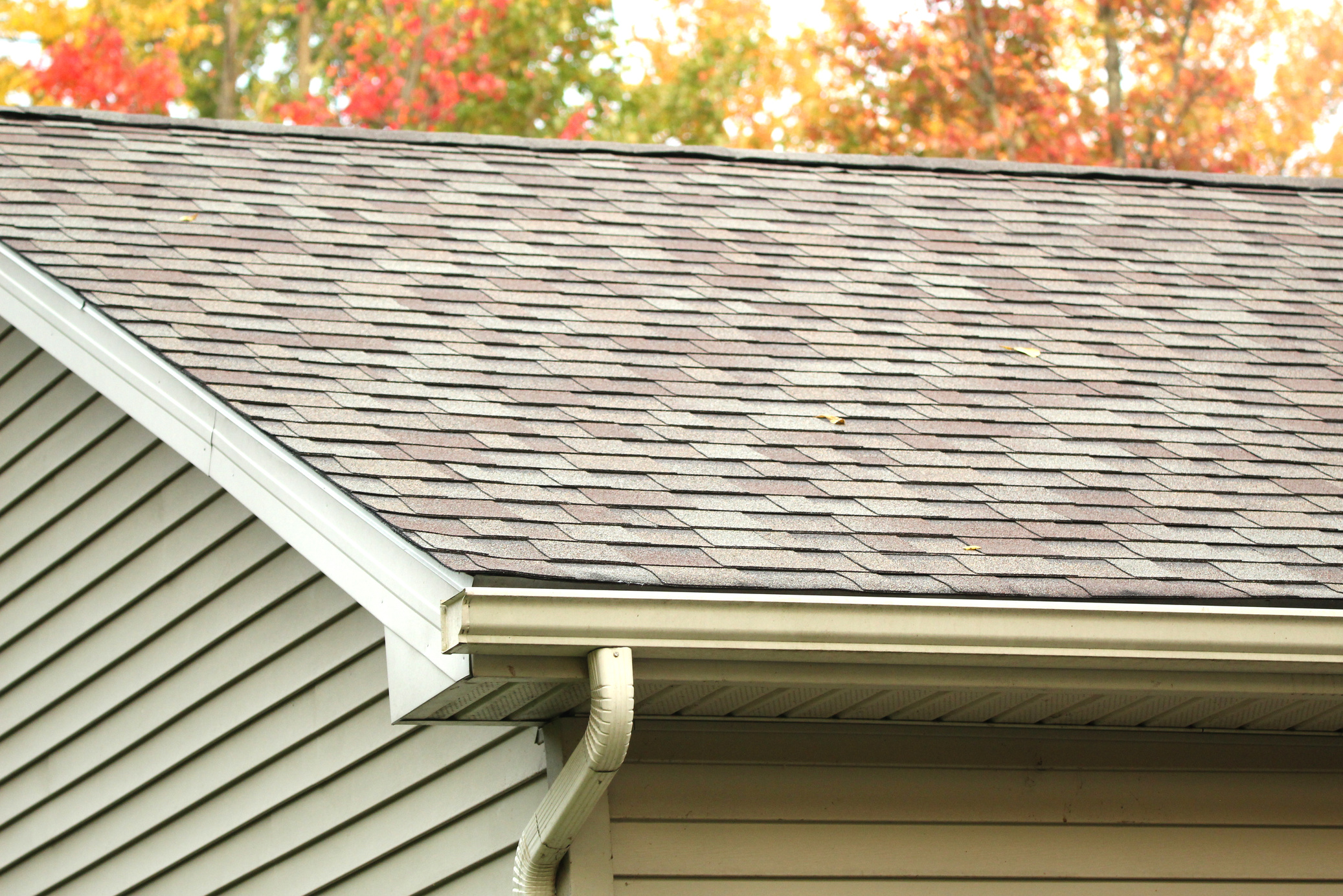 House Gutter Downspout Roof Shingles Soffit Siding Fascia